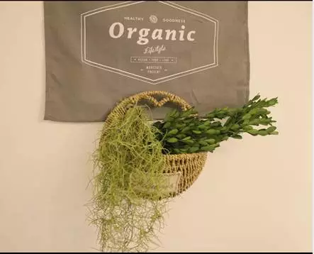 你的家配電箱，所以裝修很漂亮！